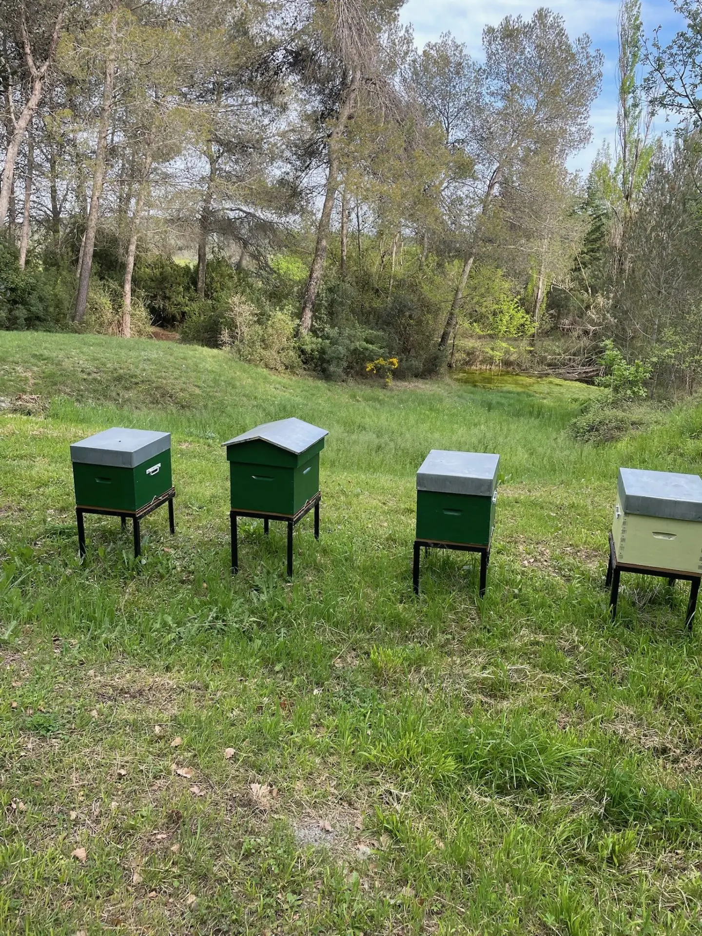 Wildlife and plant life at the Golf du Pic Saint-Loup